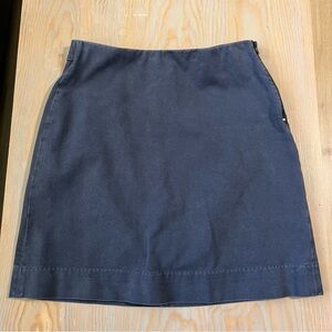 Everlane blue pencil skirt size 6